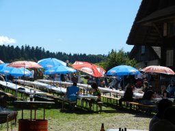 August 2016 Vespatreffen Zell